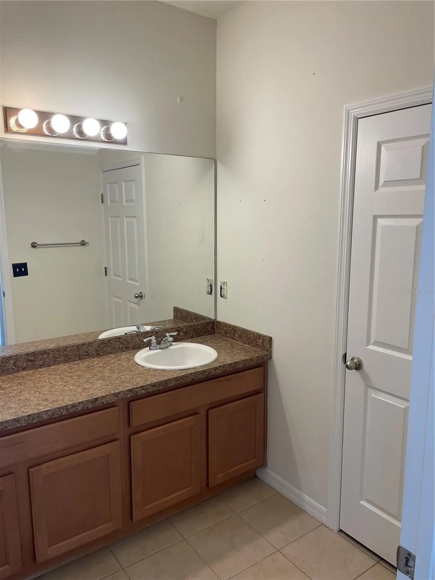10117 Celtic Ash Drive Ruskin FL 33573