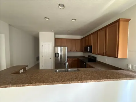 10117 Celtic Ash Drive Ruskin FL 33573