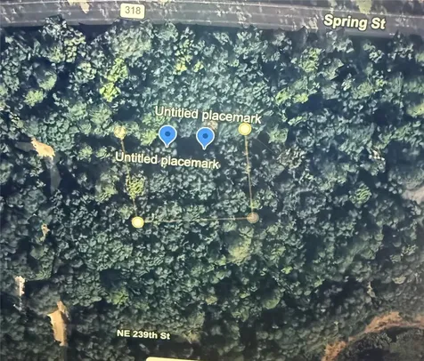 NE 239th Place Orange Springs FL 32182