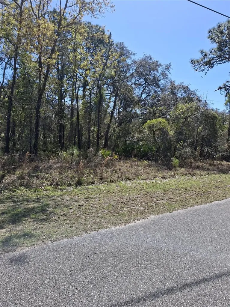 11500 Lomita Wren Road Weeki Wachee FL 34614