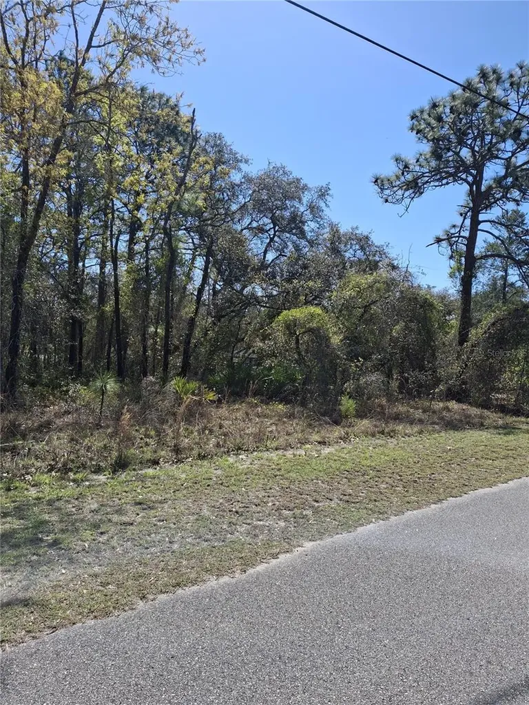 11500 Lomita Wren Road Weeki Wachee FL 34614