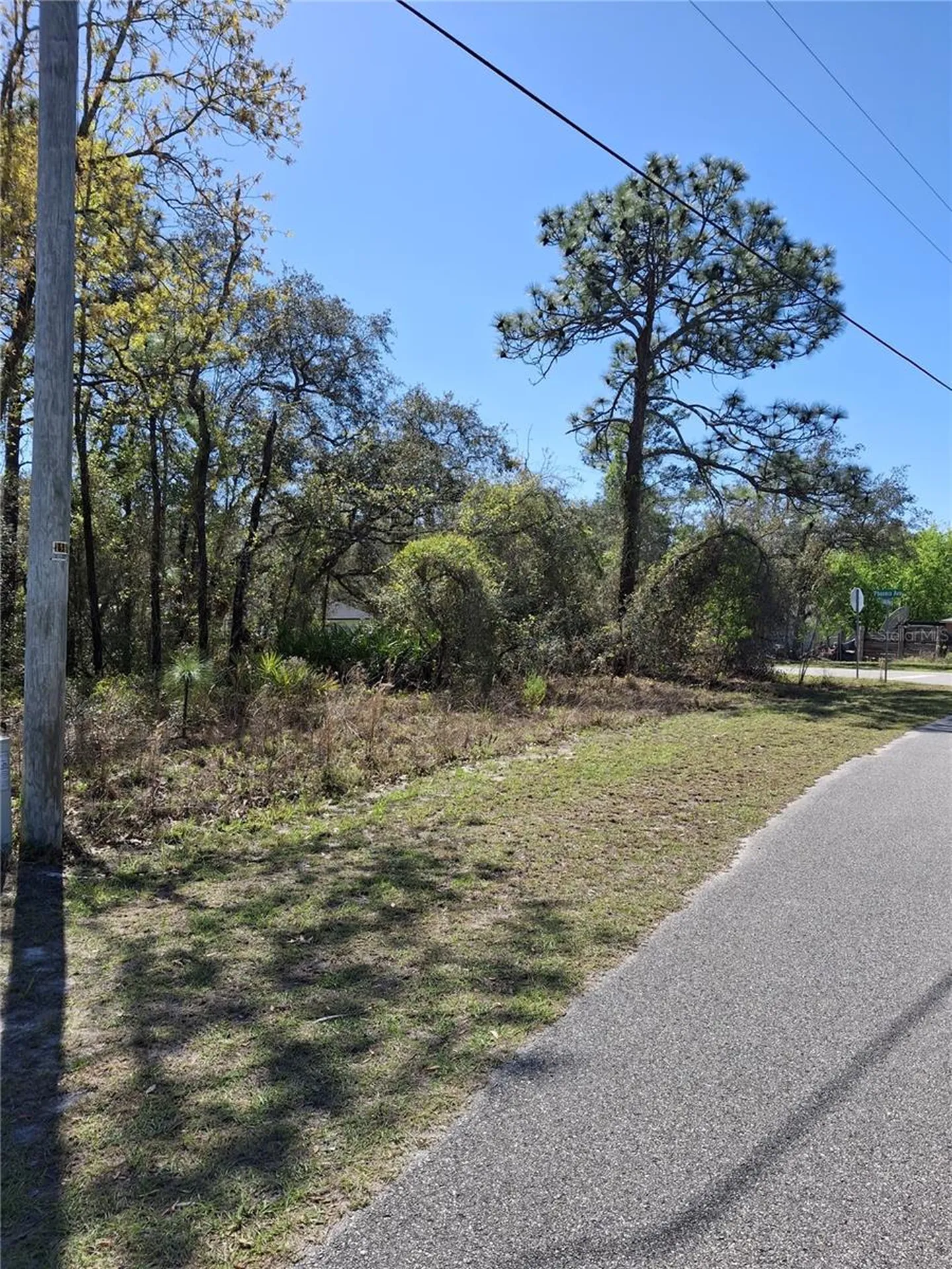 11500 Lomita Wren Road Weeki Wachee FL 34614