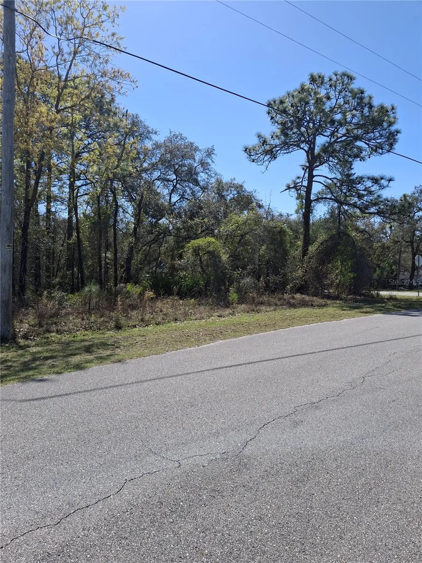 11500 Lomita Wren Road Weeki Wachee FL 34614