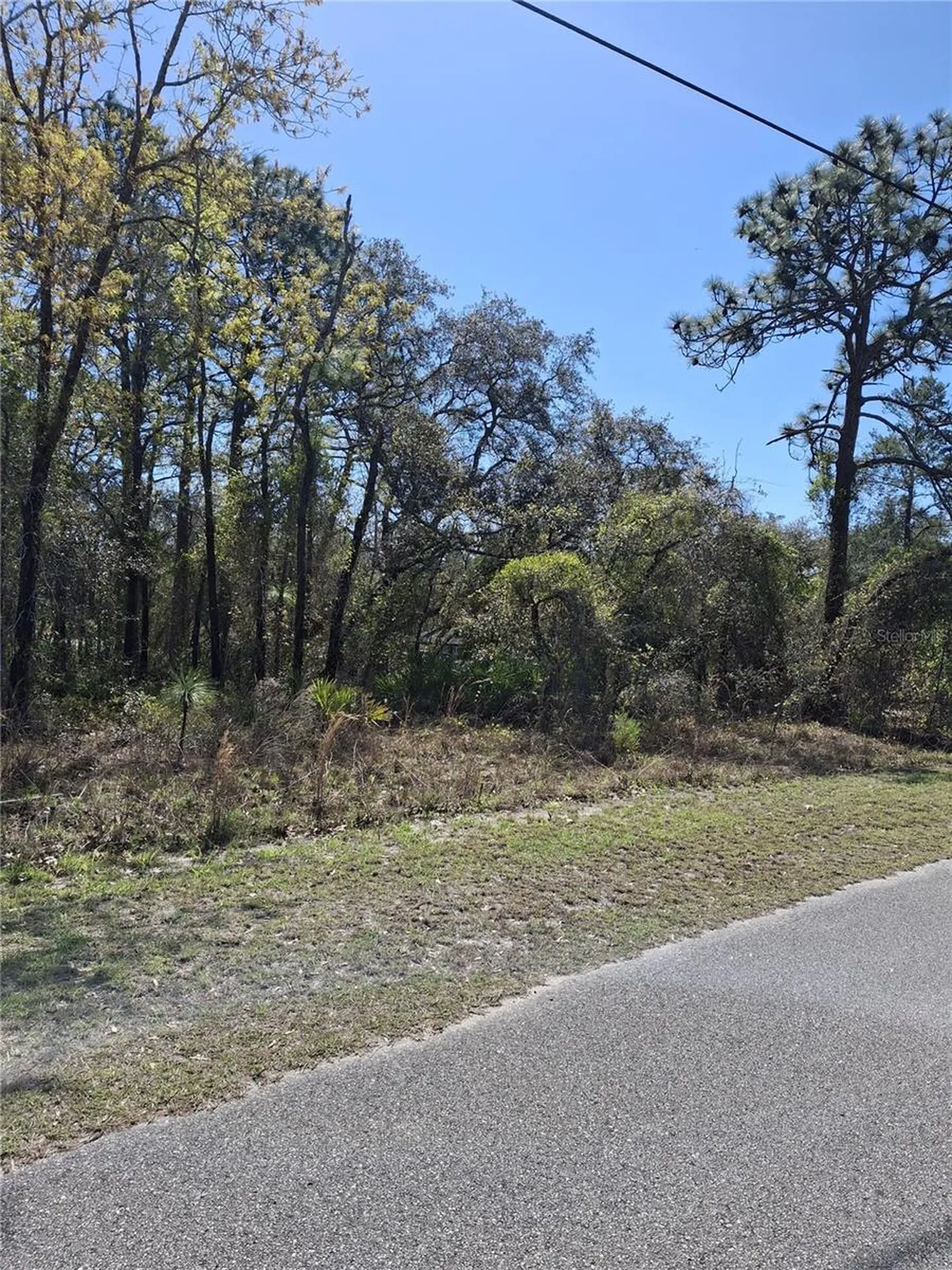 11500 Lomita Wren Road Weeki Wachee FL 34614