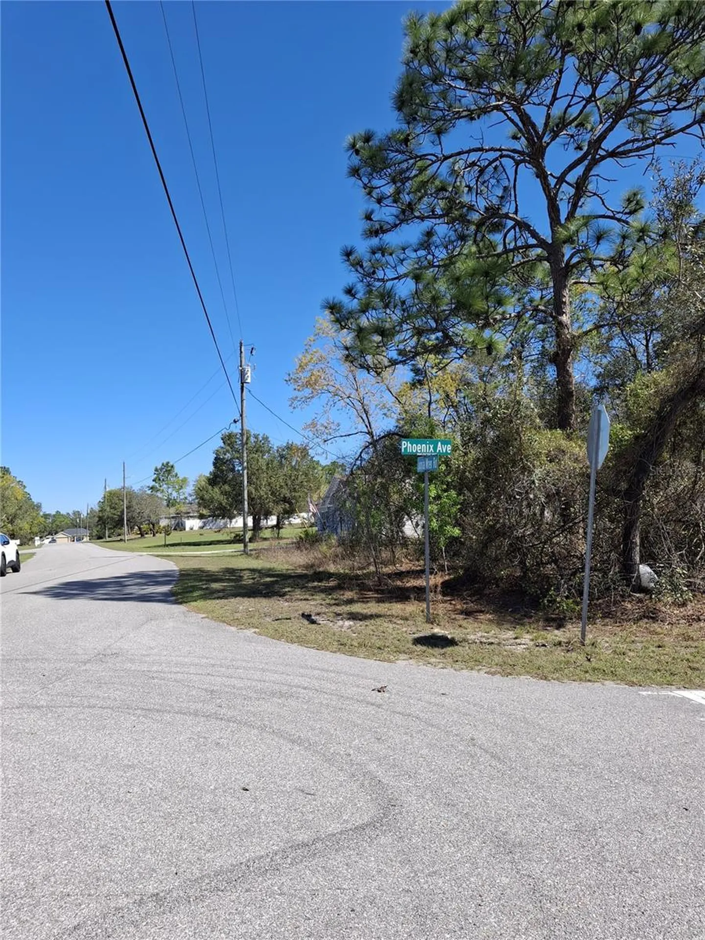 11500 Lomita Wren Road Weeki Wachee FL 34614