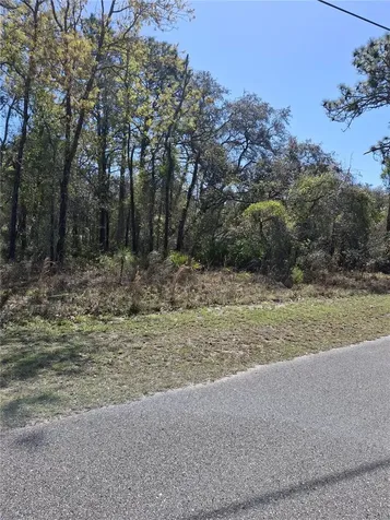 11500 Lomita Wren Road Weeki Wachee FL 34614