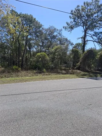 11500 Lomita Wren Road Weeki Wachee FL 34614
