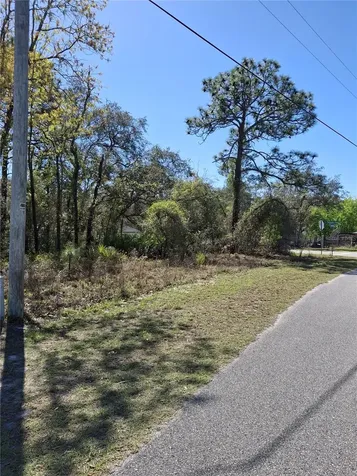 11500 Lomita Wren Road Weeki Wachee FL 34614