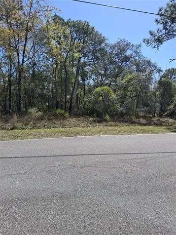 11500 Lomita Wren Road Weeki Wachee FL 34614