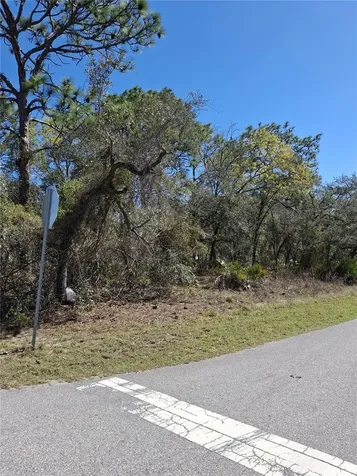 11500 Lomita Wren Road Weeki Wachee FL 34614