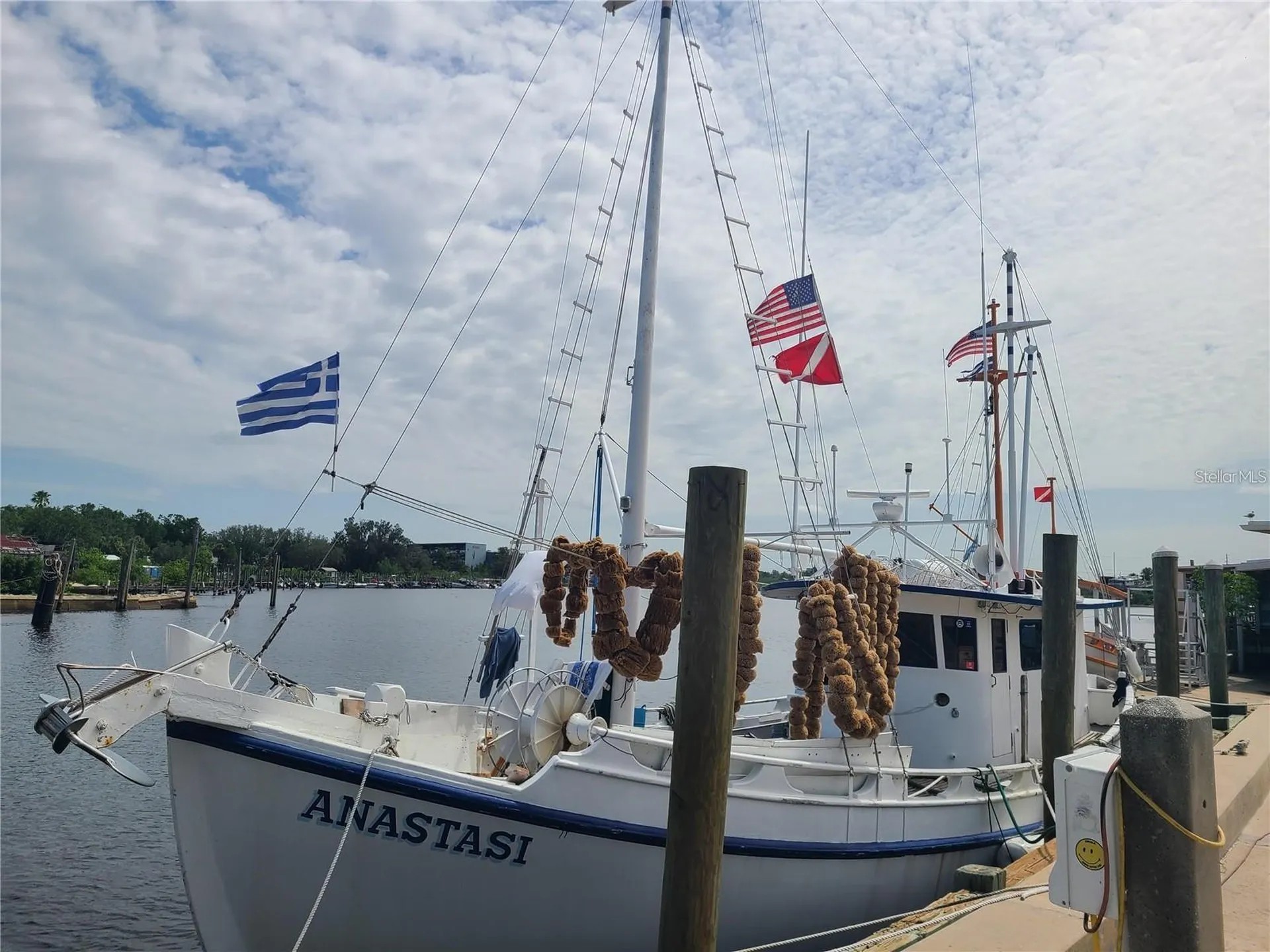 229 Dixie Tarpon Springs FL 34689