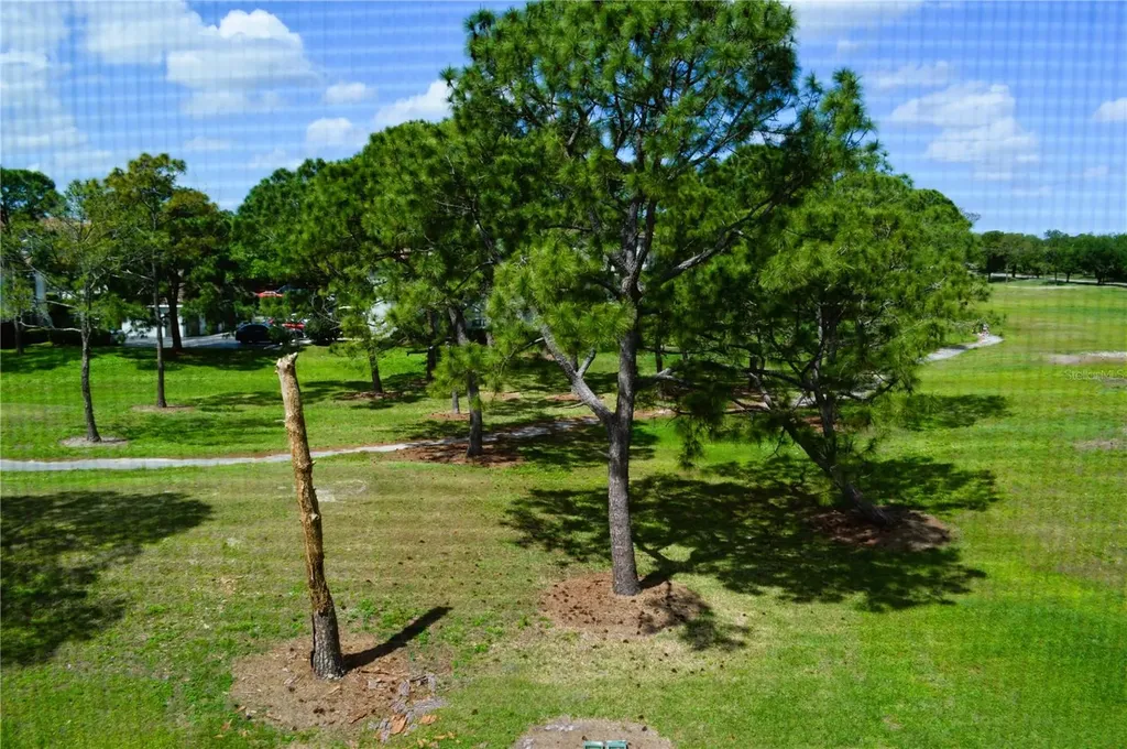 13500 Turtle Marsh Loop Orlando FL 32837