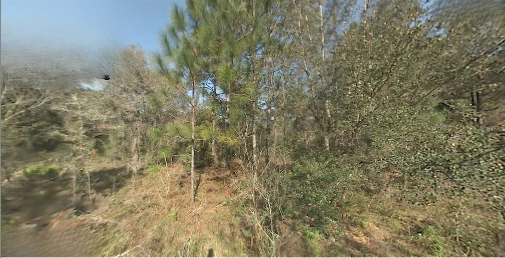 SW 22nd Street Ocala FL 34481
