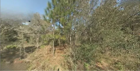 SW 22nd Street Ocala FL 34481