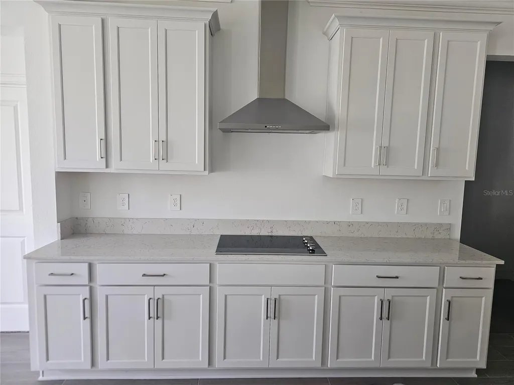 18271 Pearl View Place Lutz FL 33548