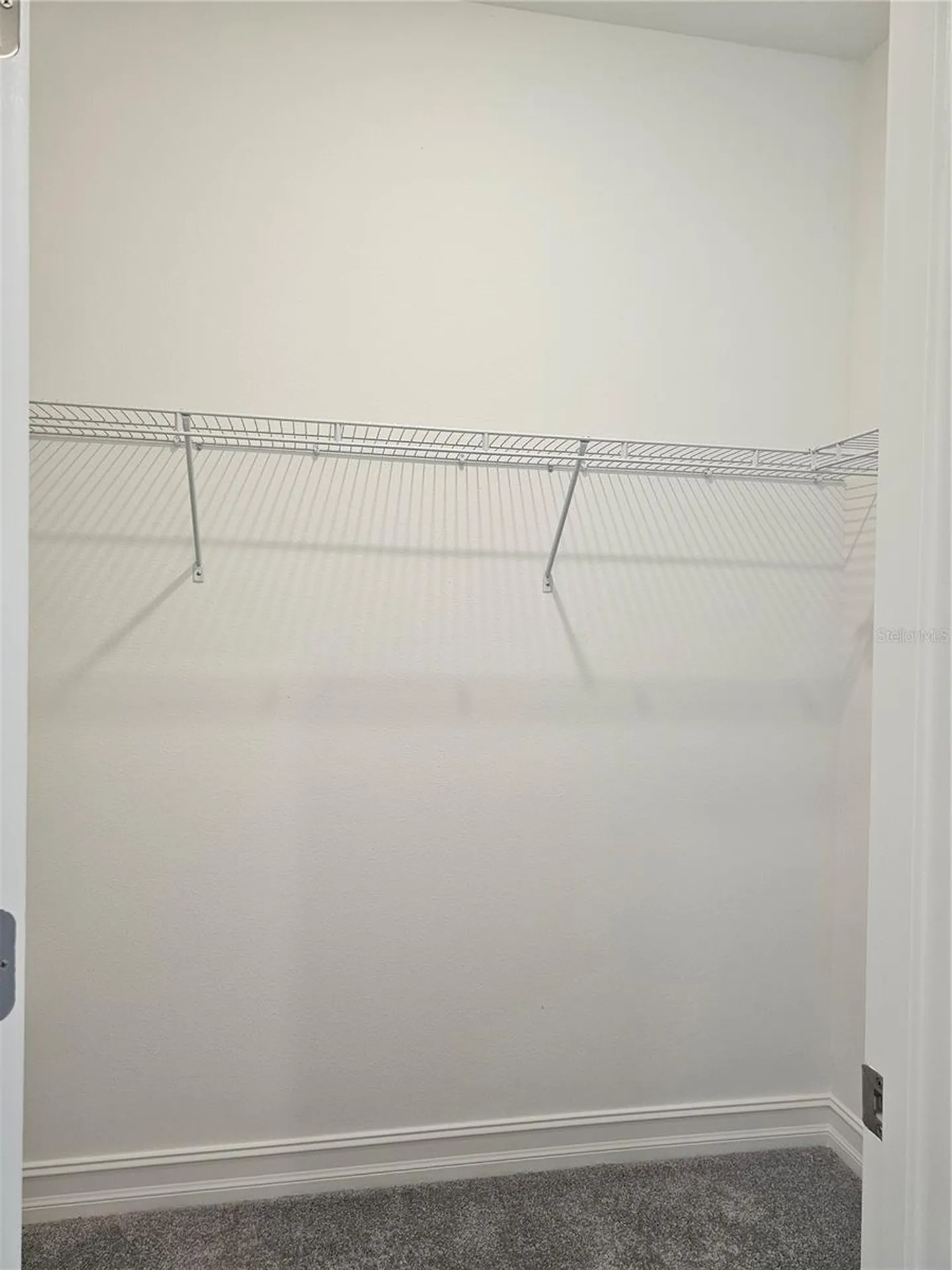 18271 Pearl View Place Lutz FL 33548