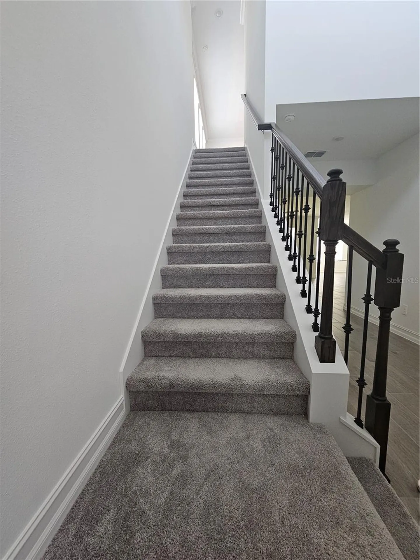 18271 Pearl View Place Lutz FL 33548