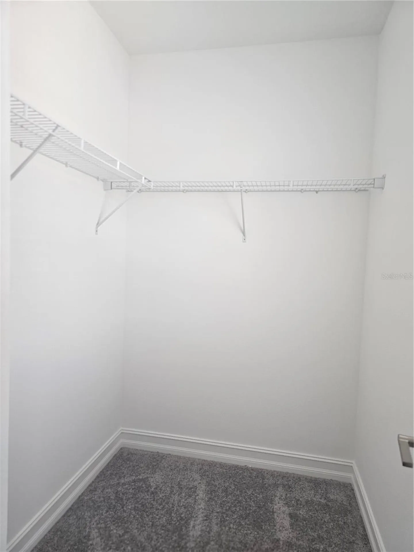 18271 Pearl View Place Lutz FL 33548