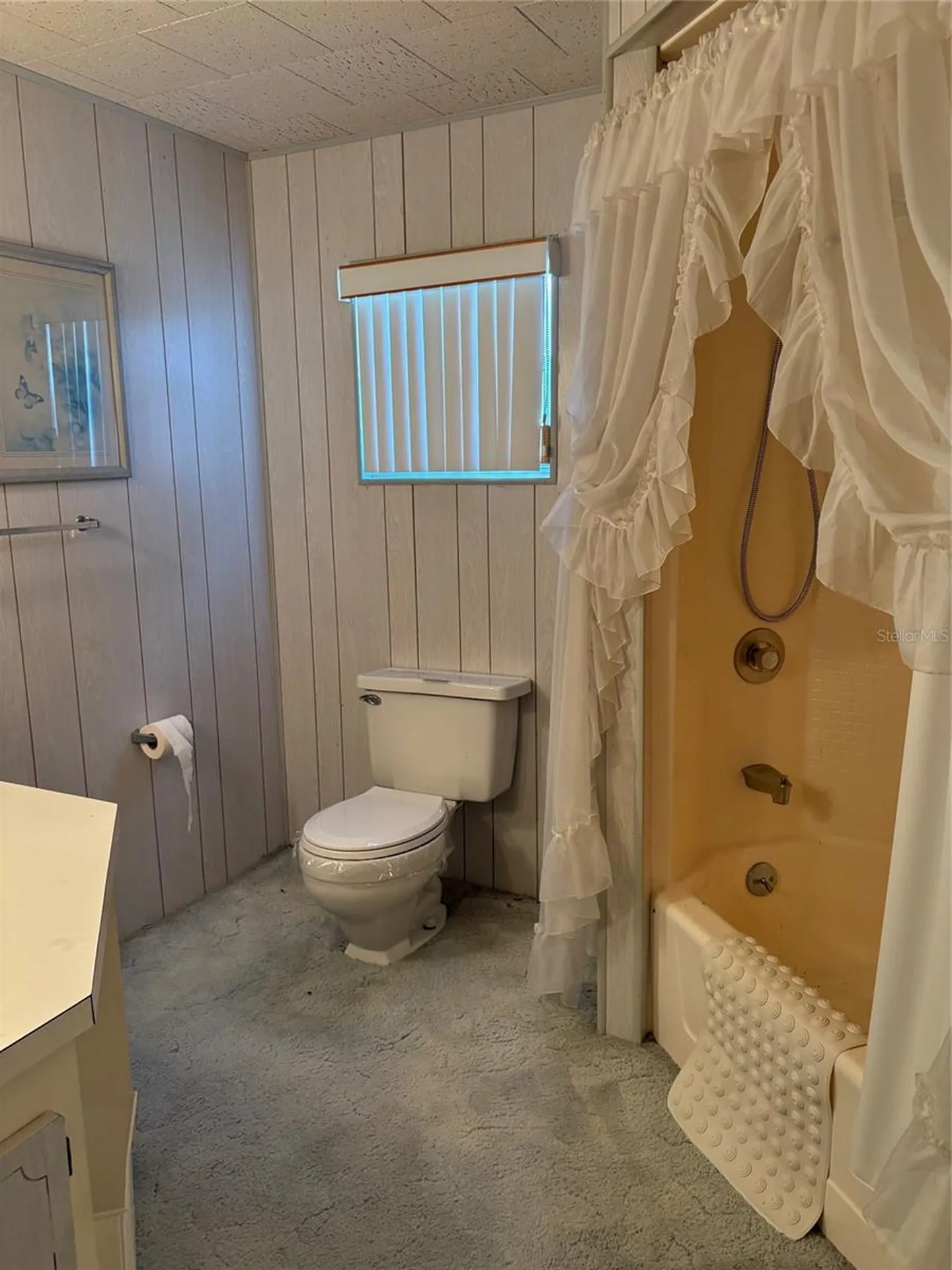 10057 110th Place Largo FL 33773