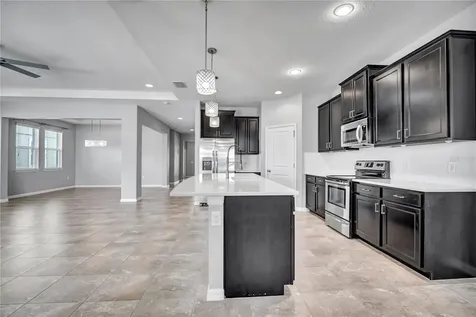 32430 Bannack Lane Wesley Chapel FL 33543