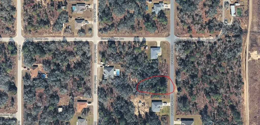 15037 Dusky Warbler Road Weeki Wachee FL 34614