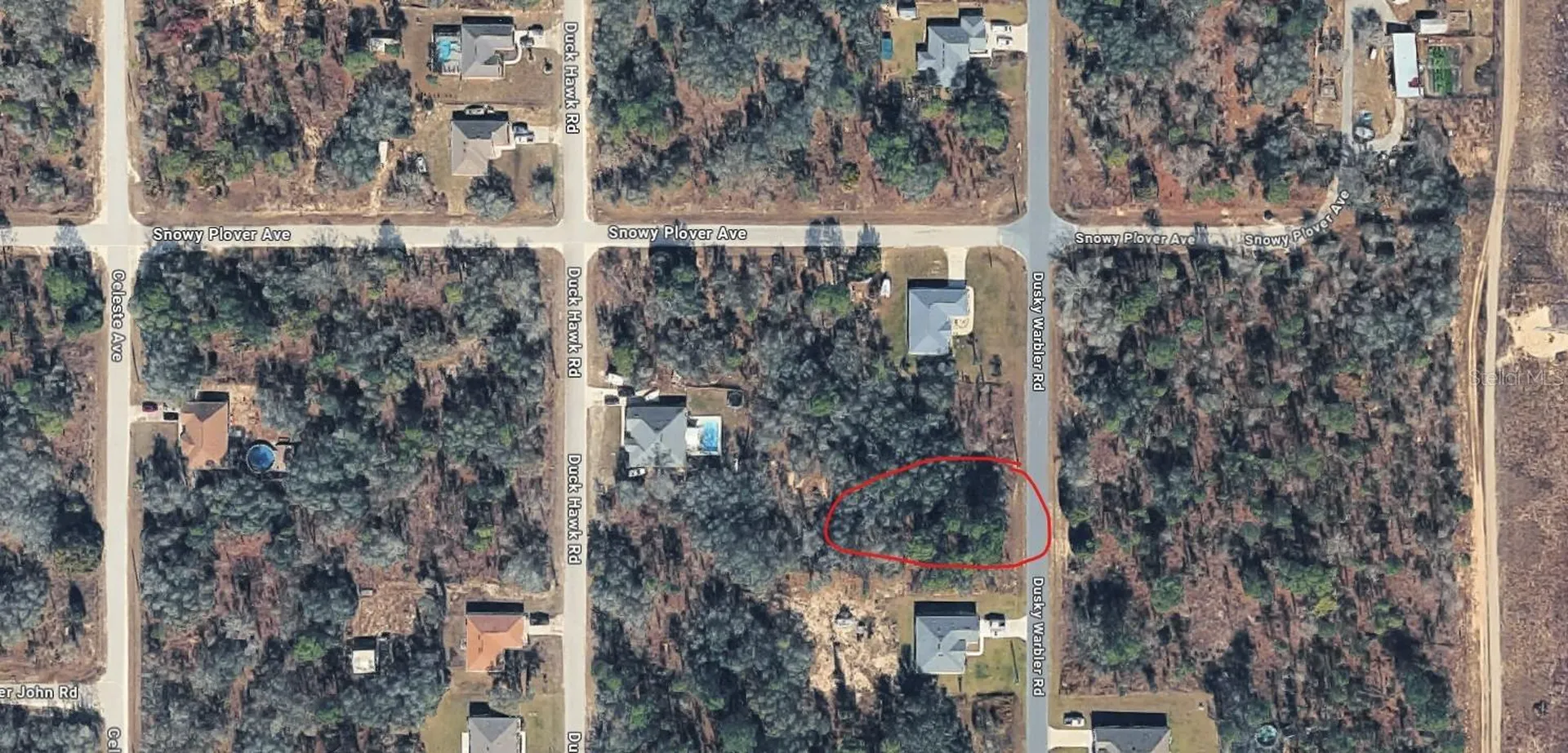15037 Dusky Warbler Road Weeki Wachee FL 34614