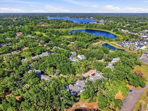 3213 Valley Oaks Drive Tampa FL 33618