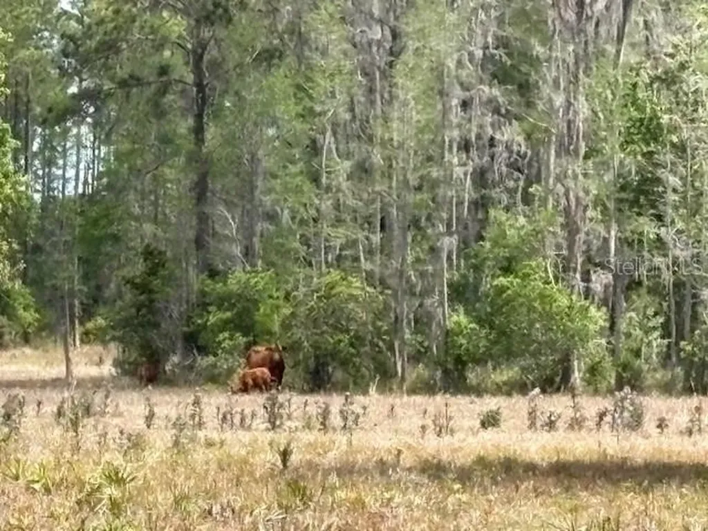 5400 Bruton Road Plant City FL 33565