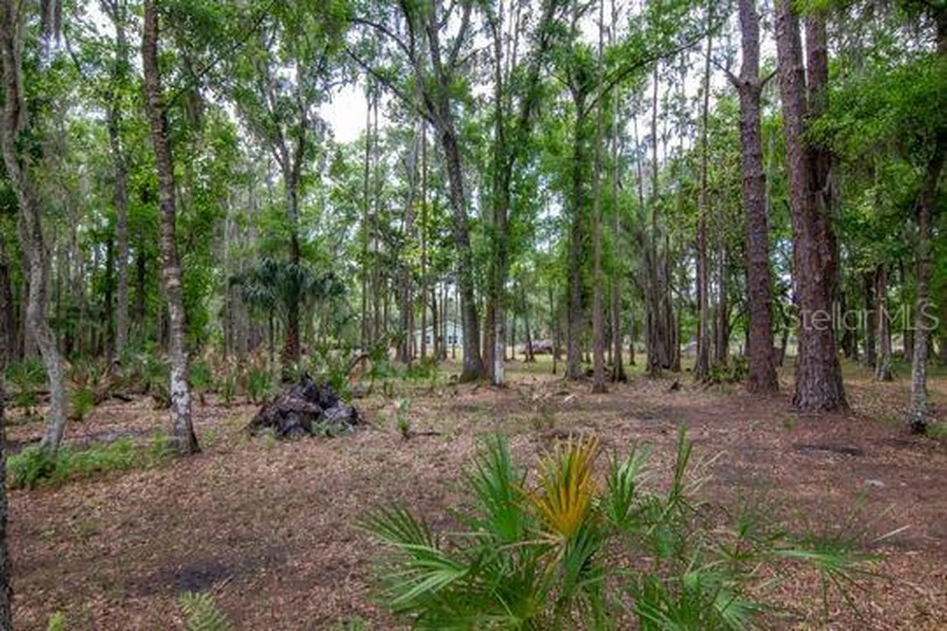 5400 Bruton Road Plant City FL 33565