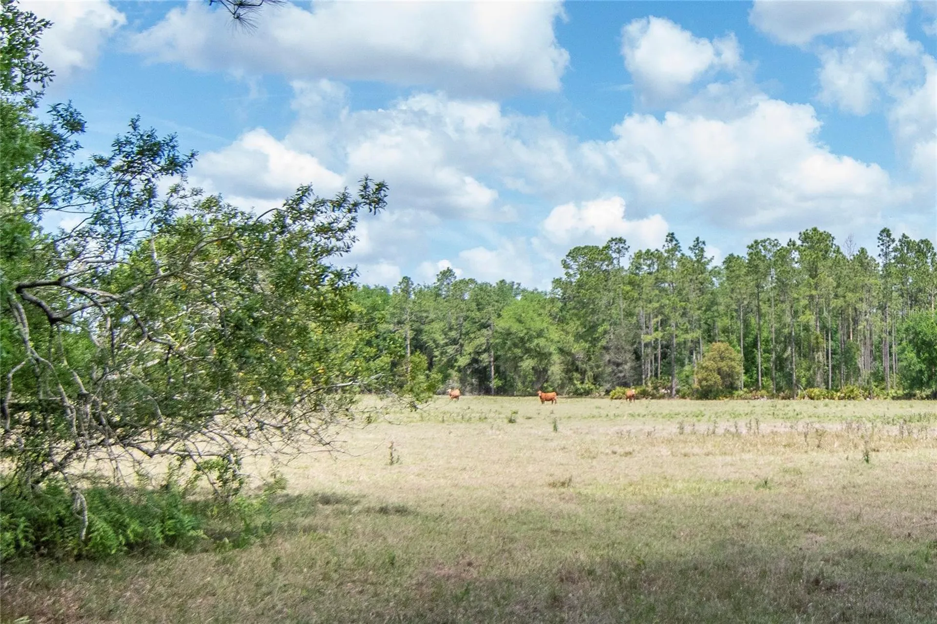 5400 Bruton Road Plant City FL 33565