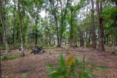 5400 Bruton Road Plant City FL 33565