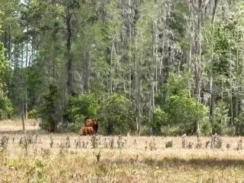 5400 Bruton Road Plant City FL 33565