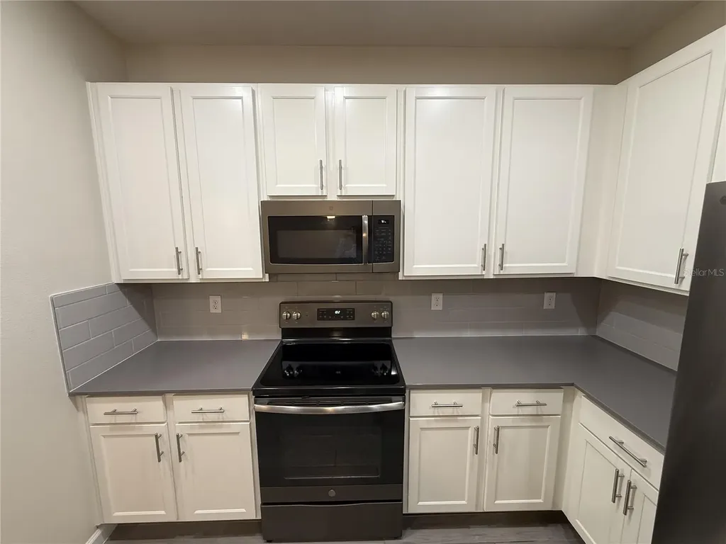 9067 Menewa Court Orlando FL 32825