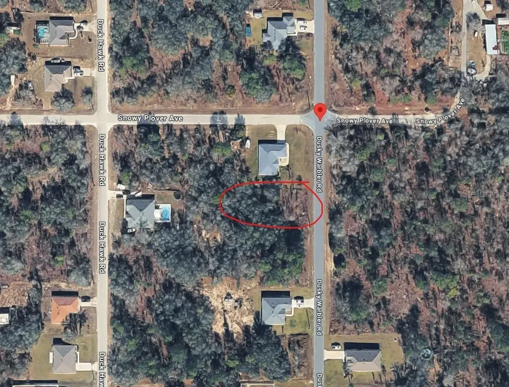 15057 Dusky Warbler Road Weeki Wachee FL 34614