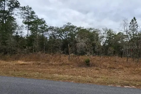 15057 Dusky Warbler Road Weeki Wachee FL 34614