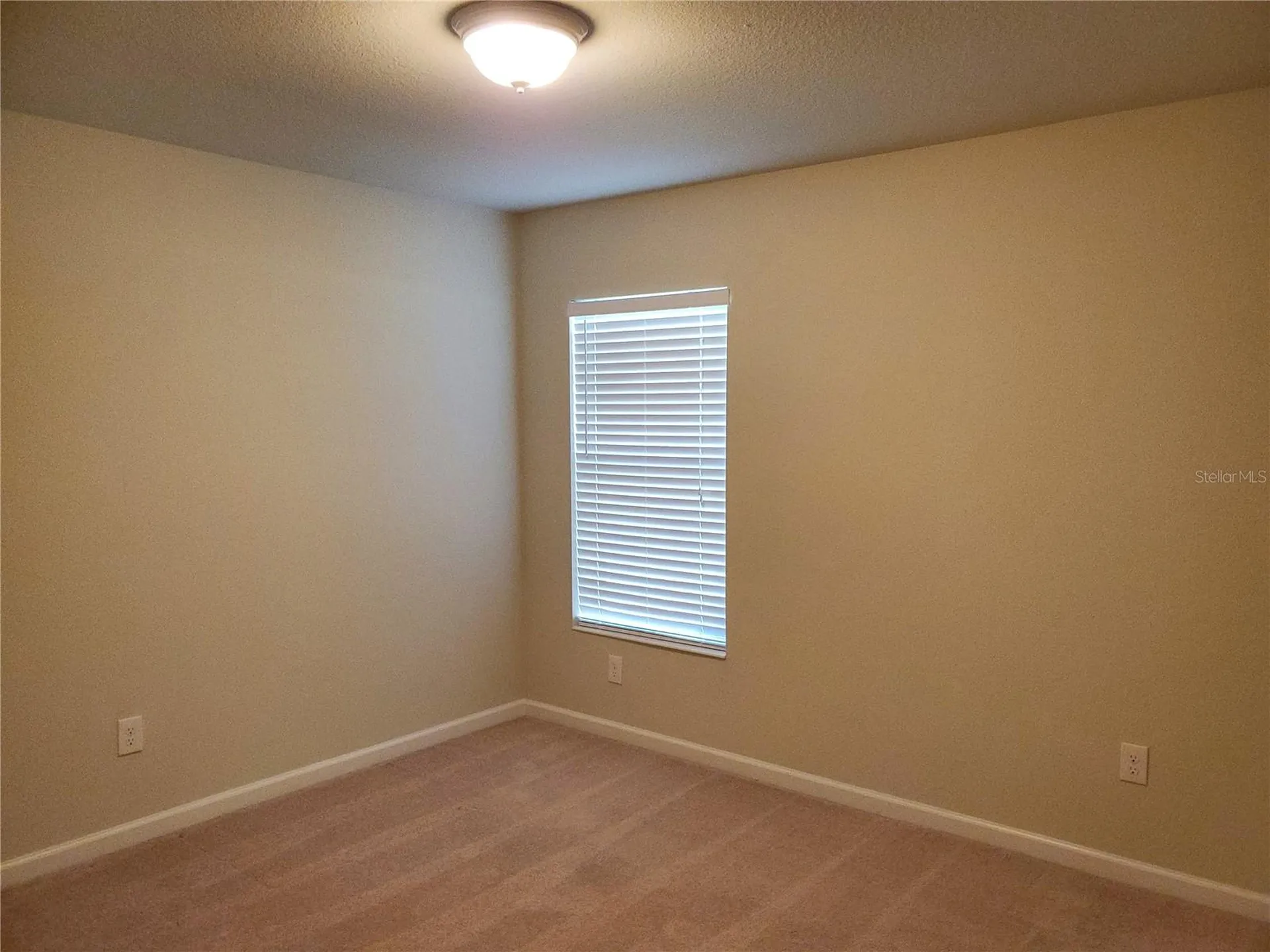 4079 SW 47th Court Ocala FL 34474