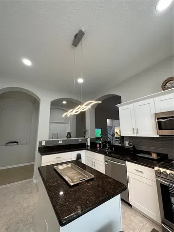 29651 Birds Eye Drive Wesley Chapel FL 33543
