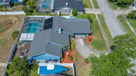 2424 Osprey Avenue Palm Harbor FL 34683
