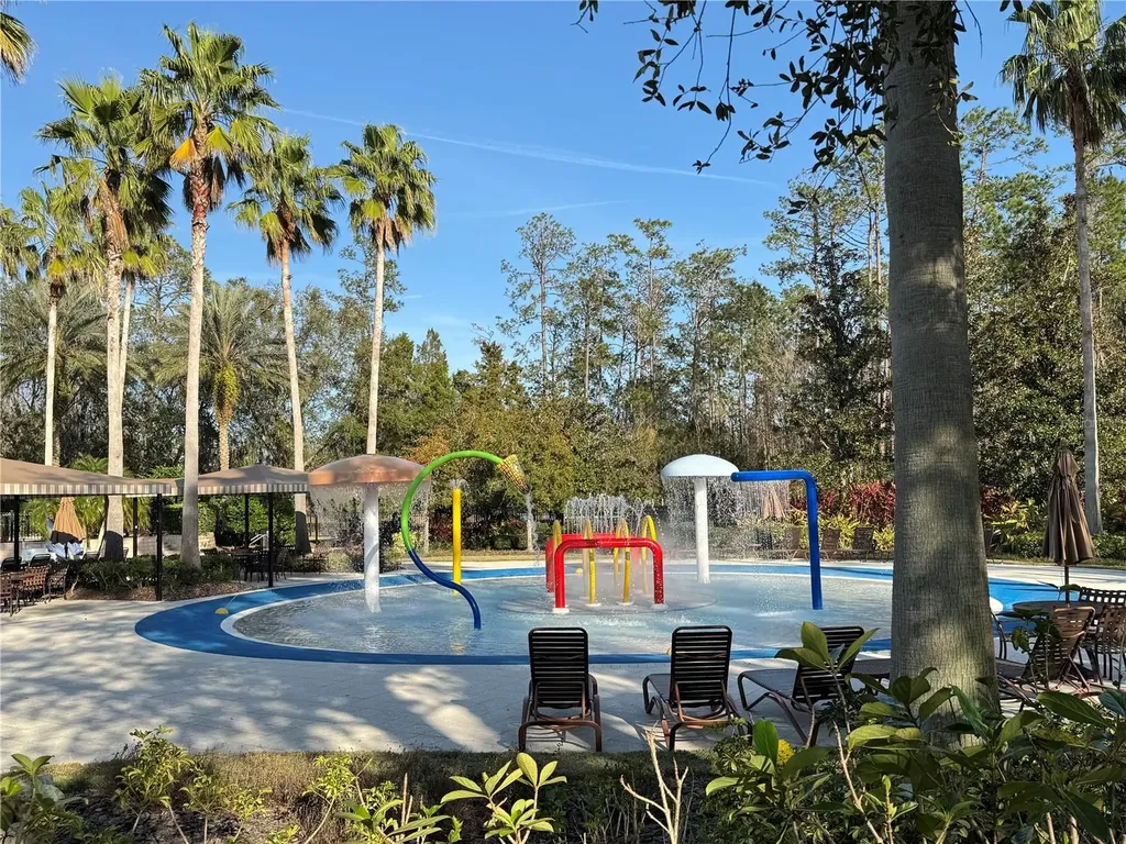 26911 Juniper Bay Drive Wesley Chapel FL 33544