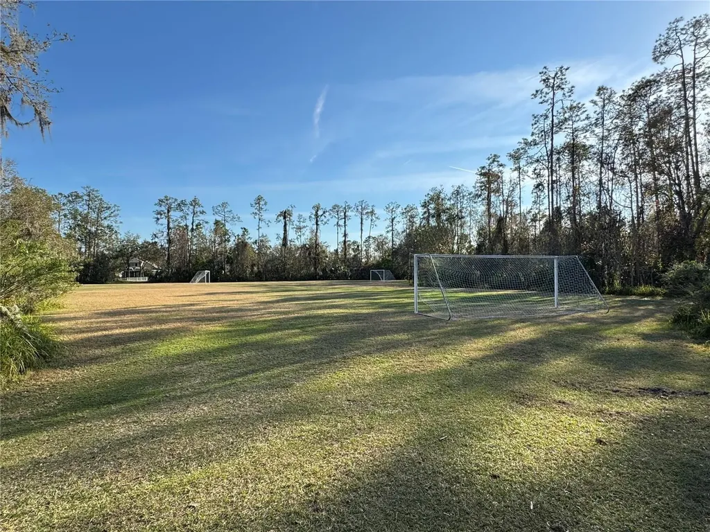 26911 Juniper Bay Drive Wesley Chapel FL 33544