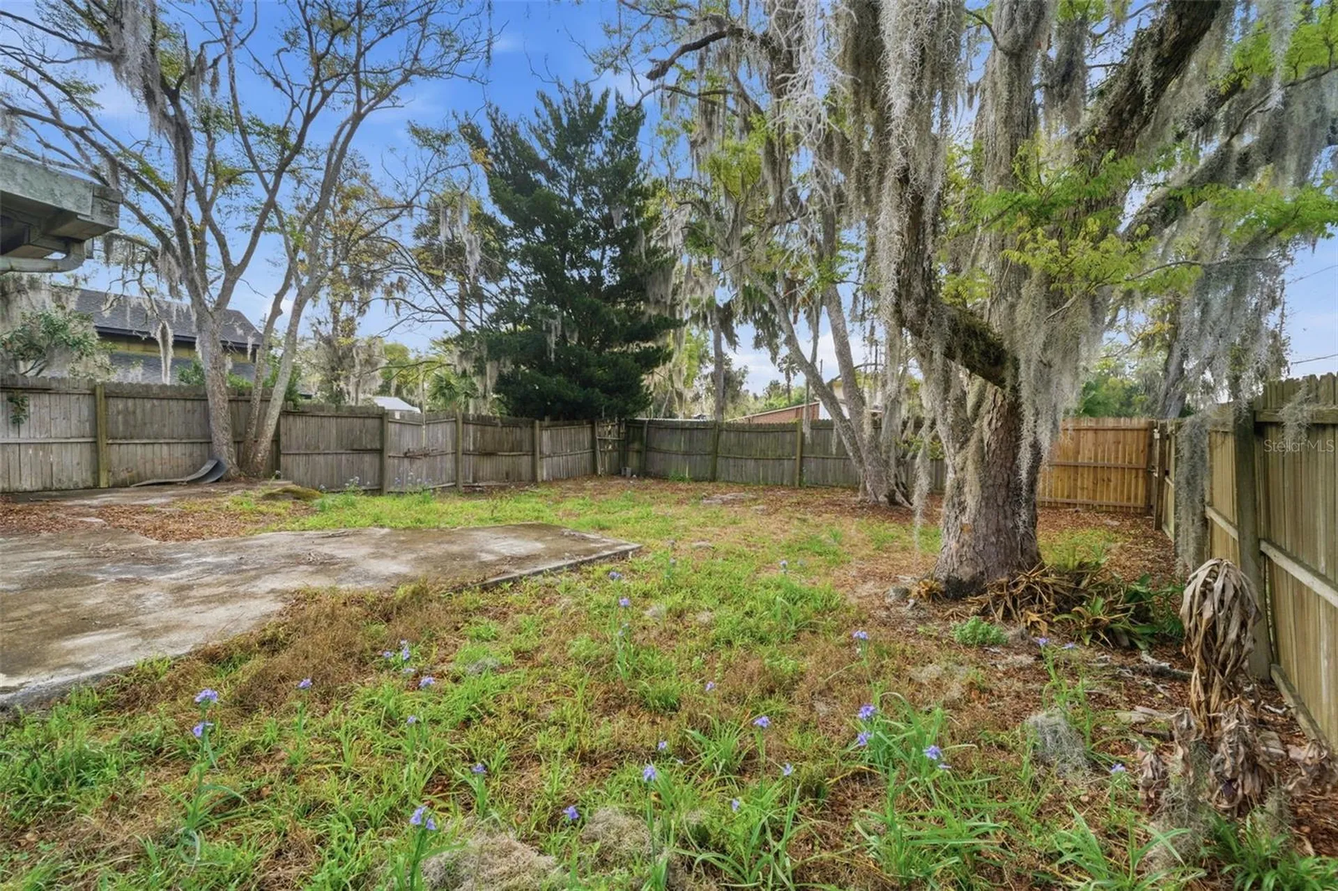 1030 Camphor Lane Deland FL 32720