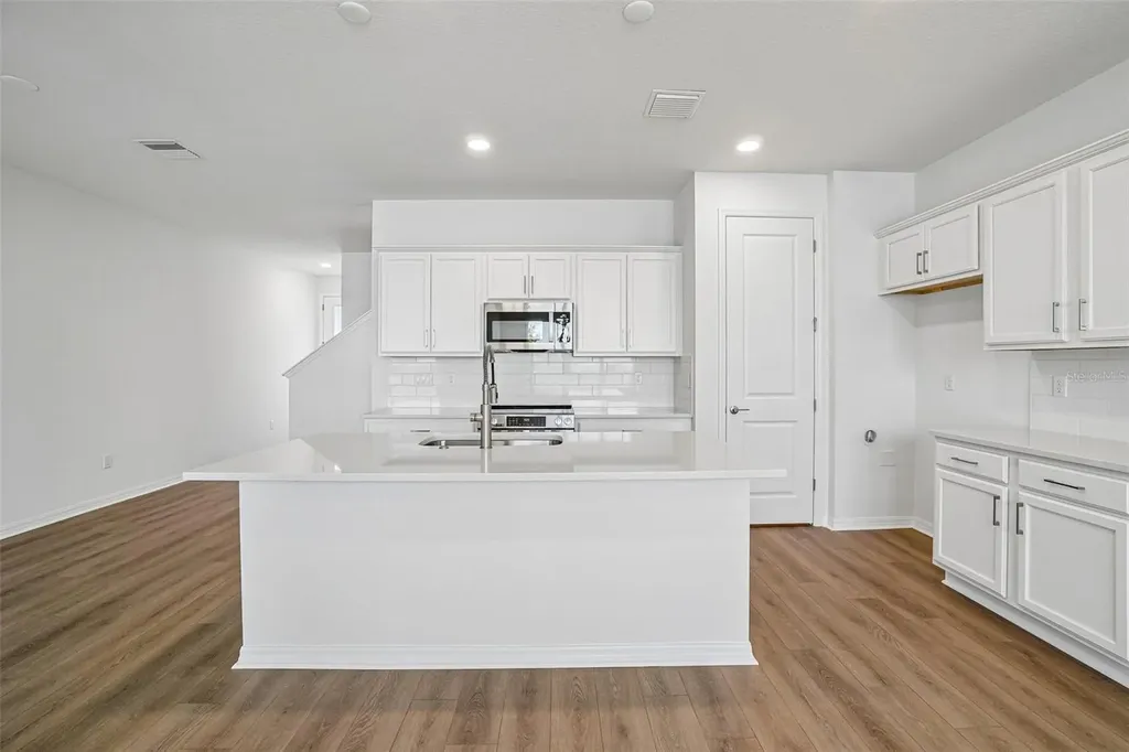 31546 Azure Beach Drive San Antonio FL 33576