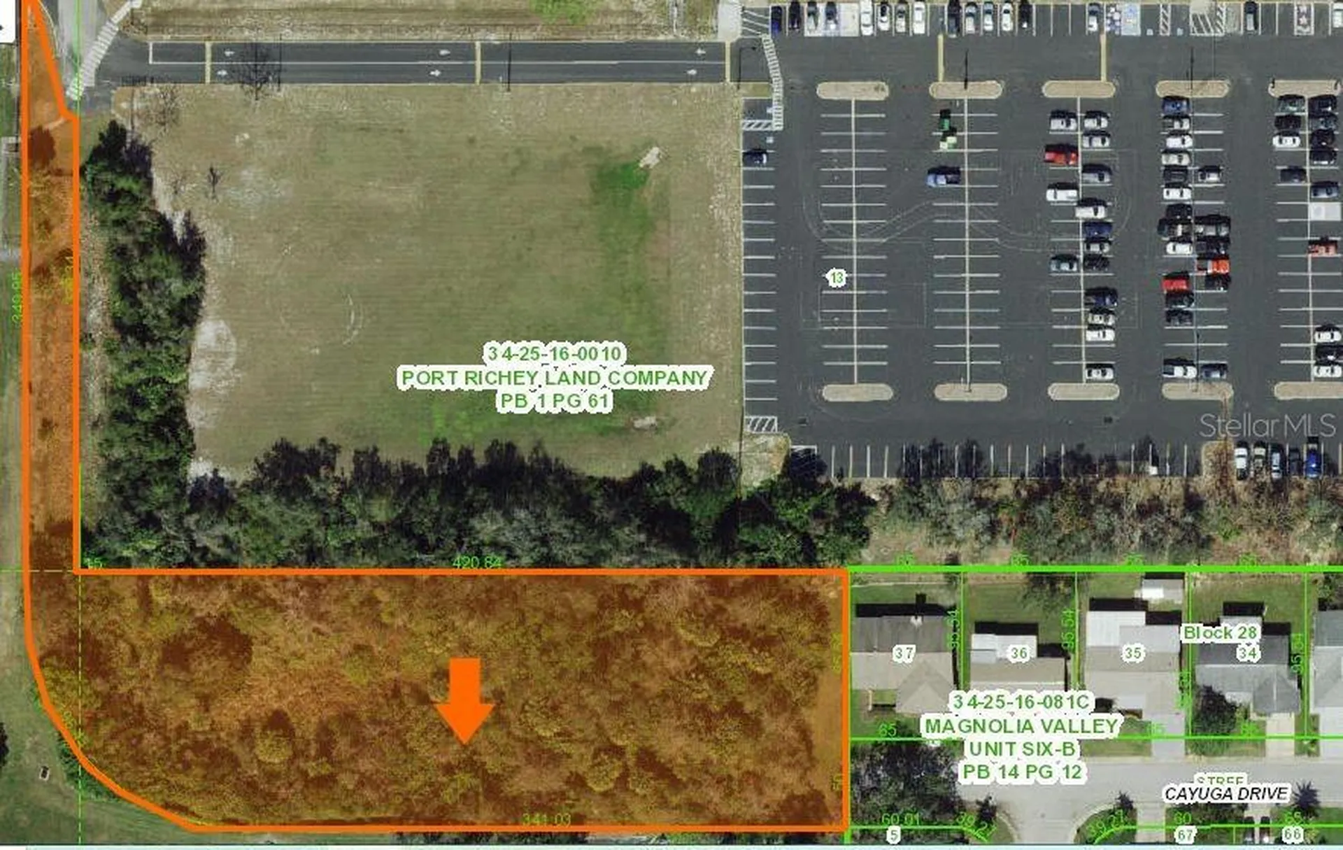 0 Cayuga New Port Richey FL 34653