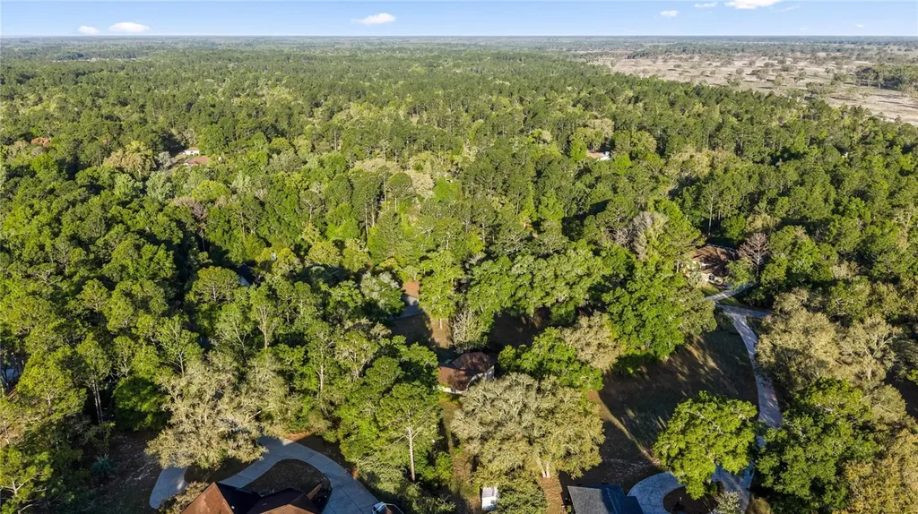 20949 SW 81st Loop Dunnellon FL 34431