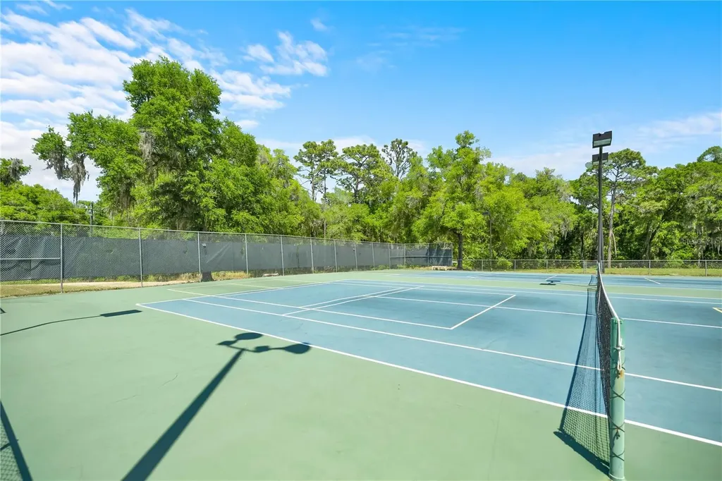 20949 SW 81st Loop Dunnellon FL 34431