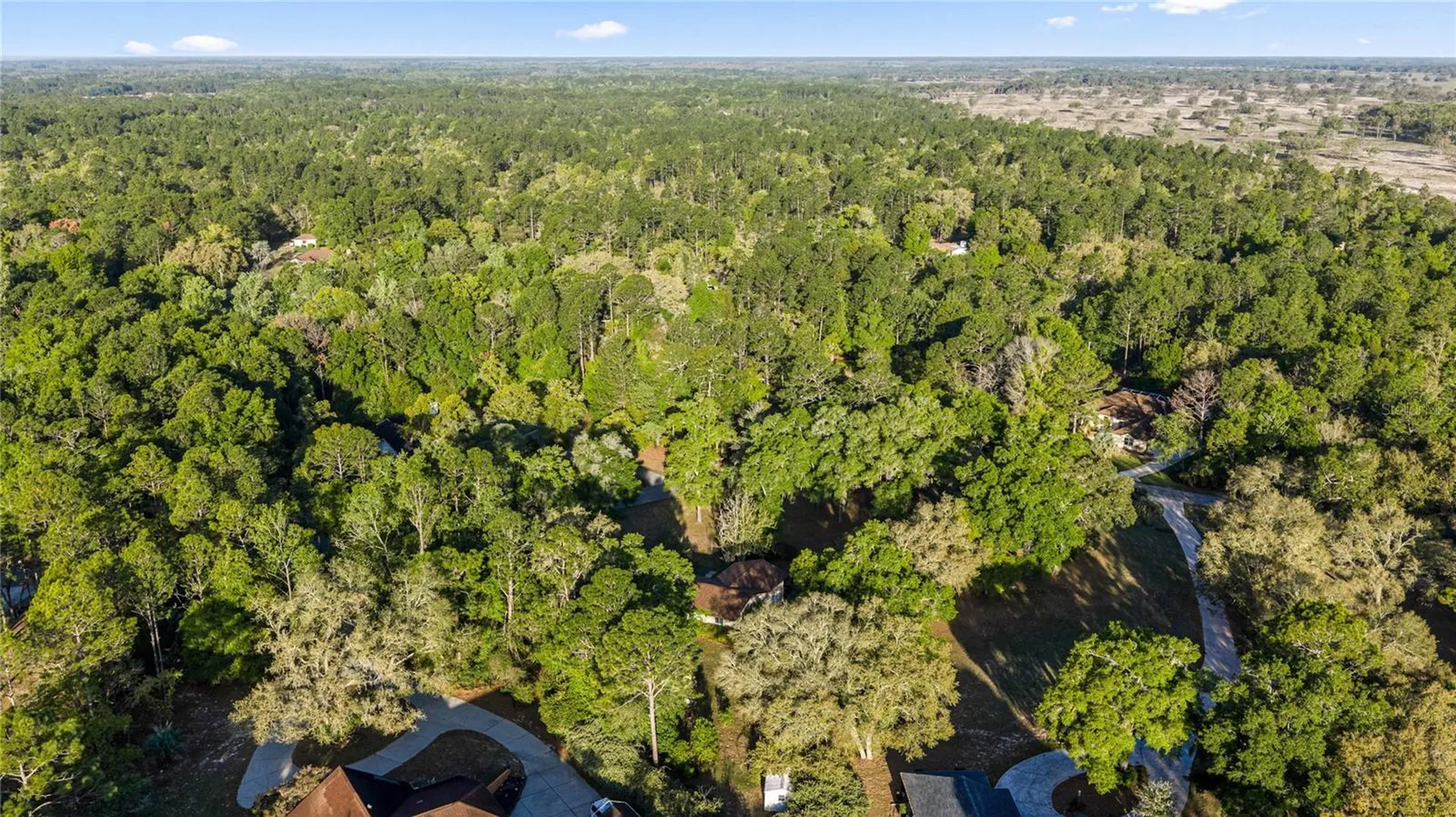 20949 SW 81st Loop Dunnellon FL 34431