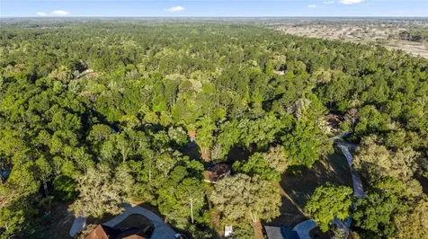 20949 SW 81st Loop Dunnellon FL 34431