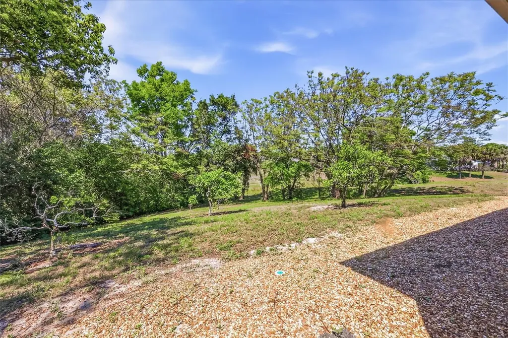 1352 Errol Parkway Apopka FL 32712