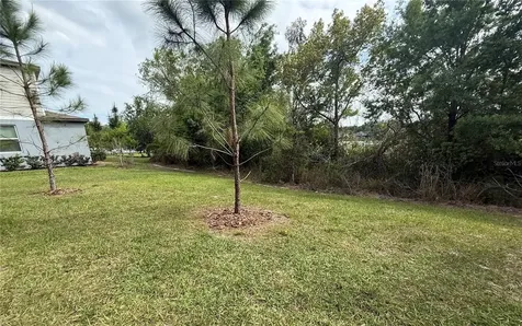21312 Darter Road Land O Lakes FL 34638