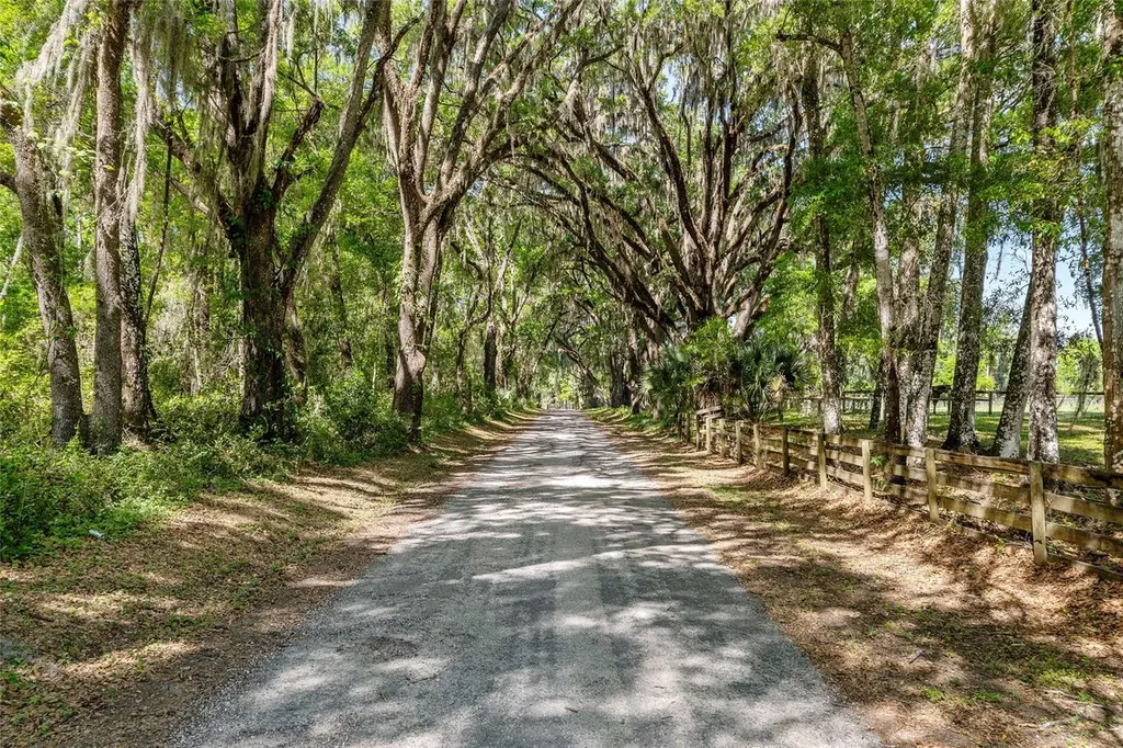 6405 NW 165th Street Reddick FL 32686